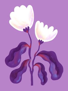 Flores de lavanda modernas de Olga Skomorokhova