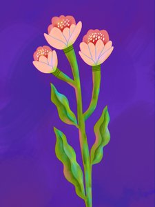 Trio Floral Vibrante de Olga Skomorokhova