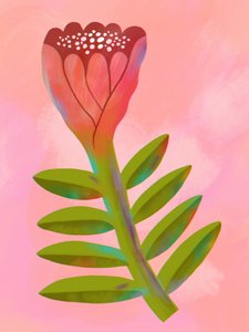 Rosa vivo botânico de Olga Skomorokhova