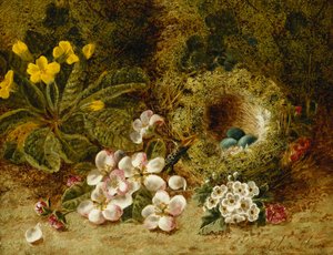 Flores de maçã, uma prímula e ninho de pássaros em um banco musgoso, de Oliver Clare