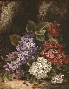 Natureza Morta com Flor de Oliver Clare