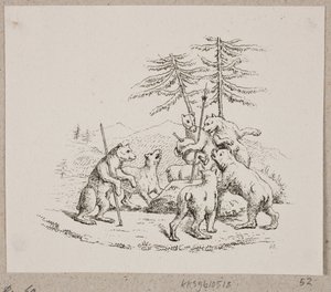 O urso fugitivo