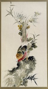 Faisão - aquarela, de Onishi Keisaie de Onishi Keisai