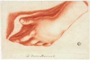 Molde de gesso da mão esquerda