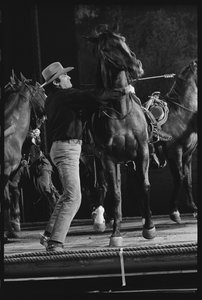 Gregory Peck com cavalo no cenário do "Mackenna