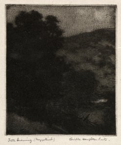 Tarde da noite de Orville Houghton Peets