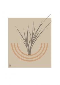 Arco botânico minimalista