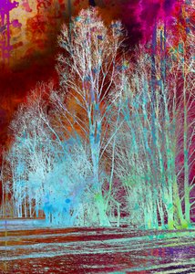 Floresta surreal e colorida de Osvaldo Russo