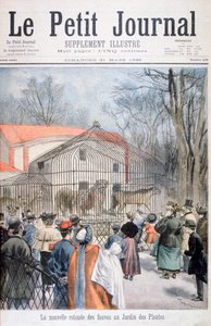 A nova casa de gatos selvagens no Jardin des Plantes, Paris, 1895 de Oswaldo Tofani