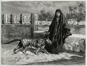 Torkan Khanoum, favorito do xeque Moisés, poderoso líder tribal do Arabistão com a sua panthere. Gravado por Tofani, para ilustrar a história "Persia, Chaldee e Susiane". de Oswaldo Tofani