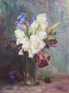 Flores de Ottilia Terzaghi