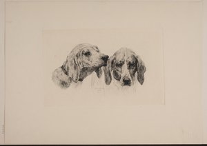 Dinamarquês: Duas cabeças de cão de Otto Bache