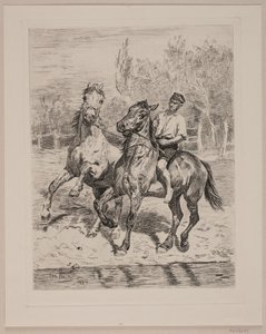 Os cavalos são regados de Otto Bache