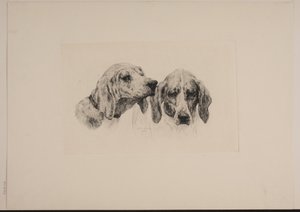 Duas cabeças de cachorro