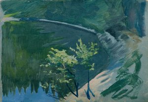 Canto do lago no Berghof
