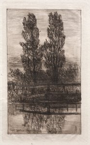 Choupos, Royal Garden, Schleissheim, 1879. de Otto H. Bacher