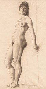 Modelo nu de pé.