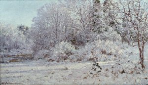 Neve em Munique