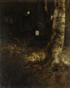 Chão da floresta com uma cobra de Otto Marseus van Schrieck