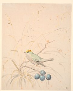 Um pássaro rei em um galho de prado. de P.C. Skovgaard
