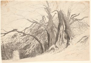 Um penhasco com grandes árvores em uma floresta, com duas senhoras andando. de P.C. Skovgaard