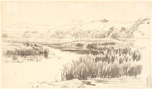 Paisagem com um riacho ao longo de cuja largura crescem juncos altos. Colinas ao fundo. Provavelmente Vejle de P.C. Skovgaard