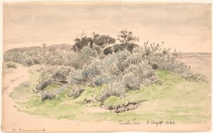 Paisagem com matagal. de P.C. Skovgaard