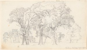Lote de Knabstrup Dyrehave. de P.C. Skovgaard