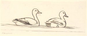 Dois patos. Rascunho decorativo. de P.C. Skovgaard