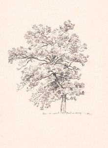 Madeira em Fredensborg de P.C. Skovgaard
