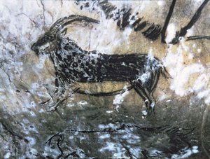 Cabra ou camurça, pintura rupestre na Sala Negra, Magdalenian (pintura rupestre)