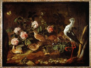 Natureza-morta com coruja e íbis - Nature morte avec une chouette et un ibis ...