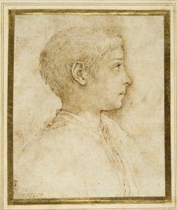 Busto de um rapaz de perfil à direita (caneta e tinta castanha sobre papel branco) de Parmigianino