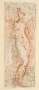 Figura feminina - estudo para a Steccata (verso) de Parmigianino