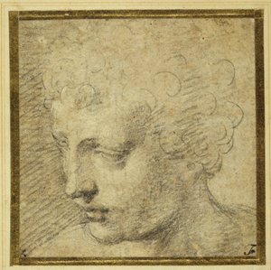 Cabeça de um menino, quase de perfil à esquerda (giz preto sobre papel tingido) de Parmigianino