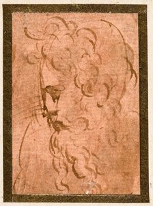 Cabeça masculina de Parmigianino