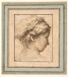 Cabeça de perfil de uma rapariga que olha para a direita de Parmigianino