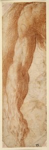 Estudo do braço direito de um homem, a sua mão segurando um pau (giz vermelho sobre papel branco) de Parmigianino