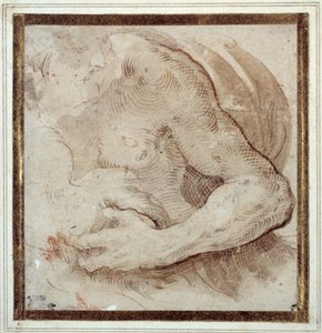 Estudo do braço esquerdo, peito e cabeça de um homem barbado (caneta e tinta marrom com giz vermelho sobre papel creme) de Parmigianino