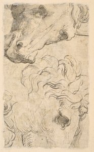 Dois estudos de cabeças de cavalos (fragmento) (verso) de Parmigianino