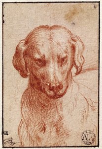 Cabeça de um cachorro (giz vermelho sobre papel) de Parmigianino