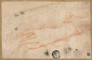 Esboço da mão e do pulso esquerdos de Parmigianino
