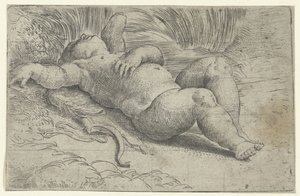 Cupido Adormecido de Parmigianino