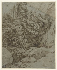 Estudo de uma paisagem de Parmigianino