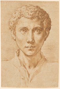 A cabeça de um jovem de Parmigianino