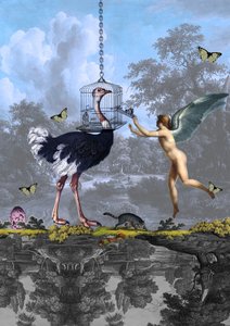 Sonho surreal de um anjo avestruz de Pascal Bouchet-Spiegel