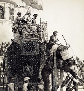 A Rainha Isabel II num elefante (guache)
