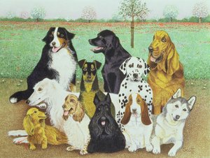 Vigilância de cães de Pat Scott