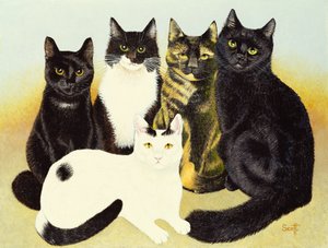 Os gatos de Miss Cox de Pat Scott