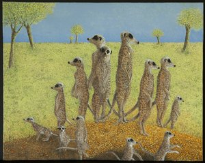 À espreita de Pat Scott